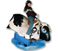 The Kids Party Rental Directory makes renting a kids party mechanical bull for your kids birthday party easy and convenient. in Sperry